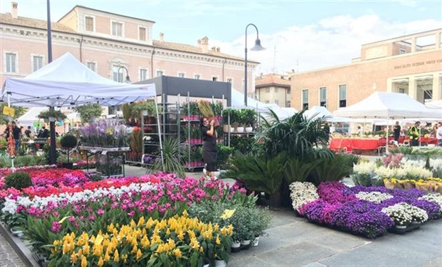 Ravenna in Fiore: Mostra Mercato