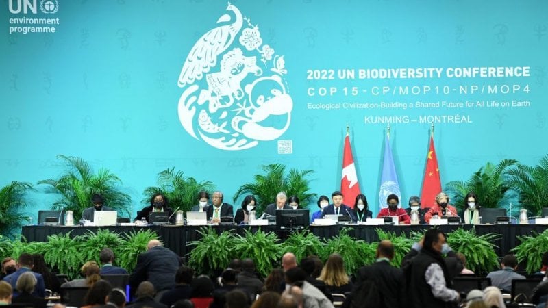 Conferenza Biodiversità