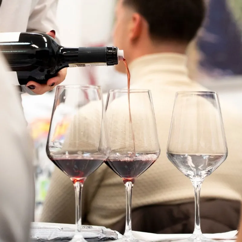 Wine Tasting Experience: Barolo & I Grandi Rossi di Langa