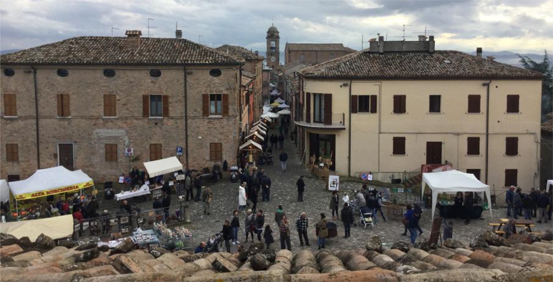 Fossa, Tartufo e Venere