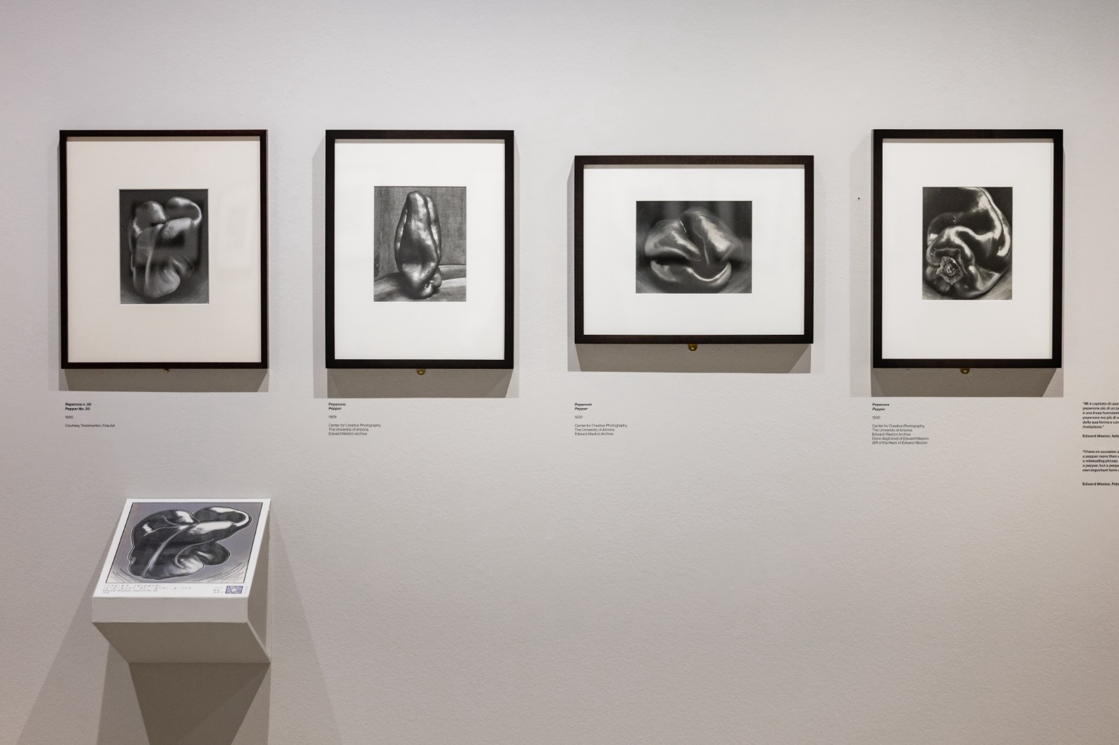 Edward Weston - La materia delle forme