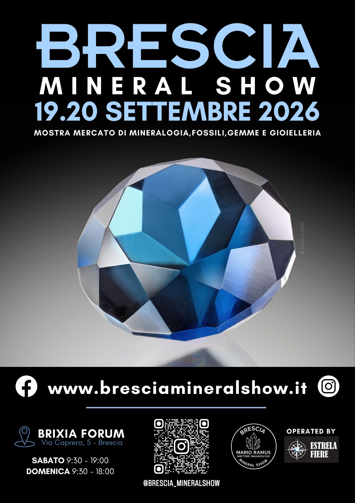Brescia Mineral Show 2026