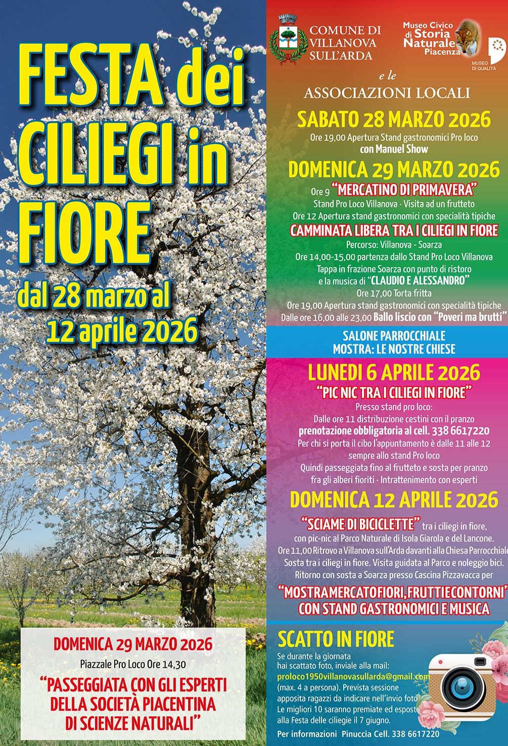 Pic nic di Pasquetta nel frutteto tra i ciliegi in fiore