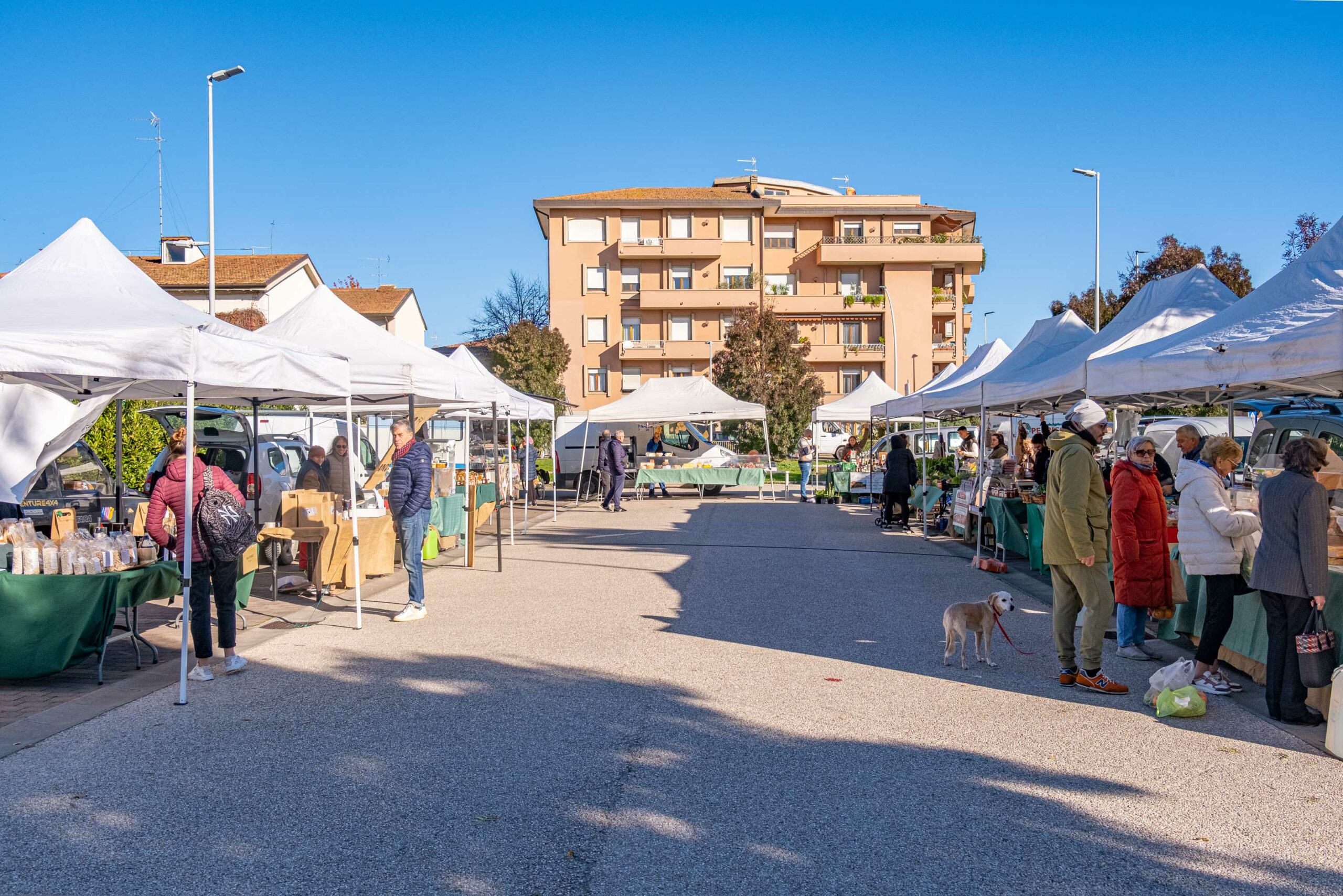 Mercatale di Empoli