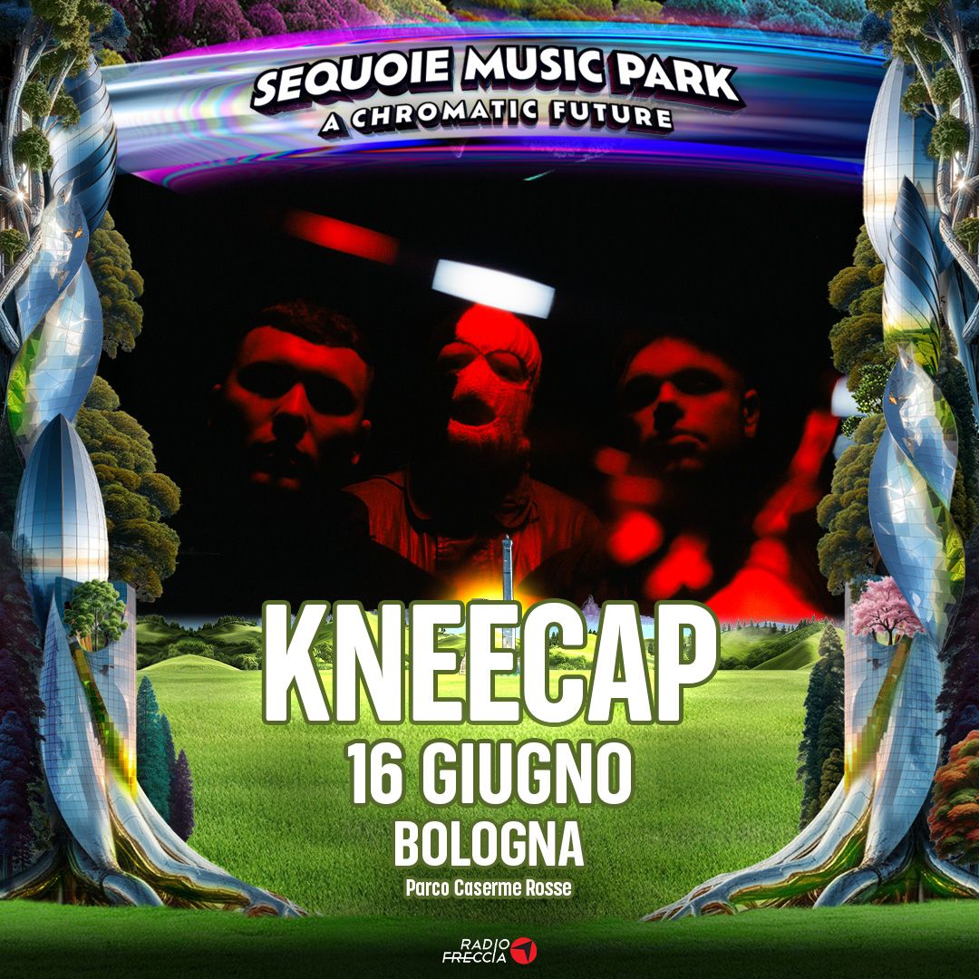 Kneecap in concerto