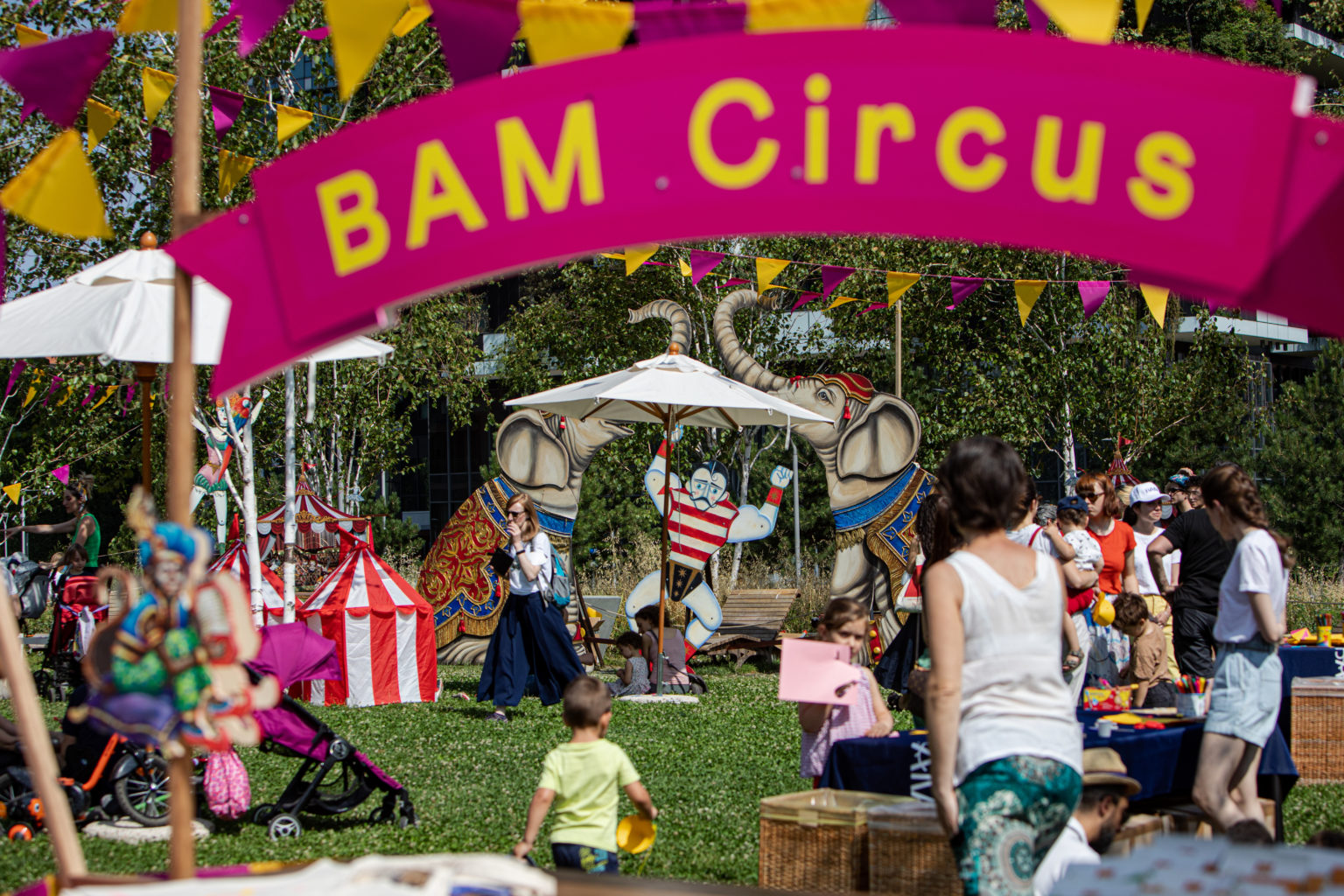 BAM Circus - Festival