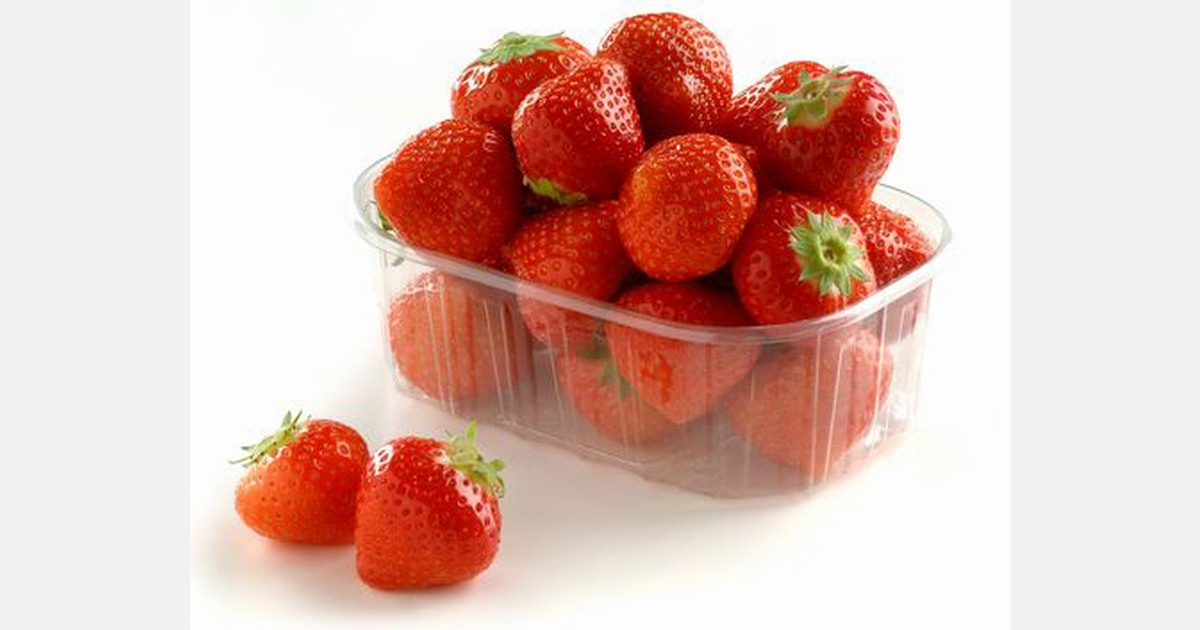Sagra della Fragola