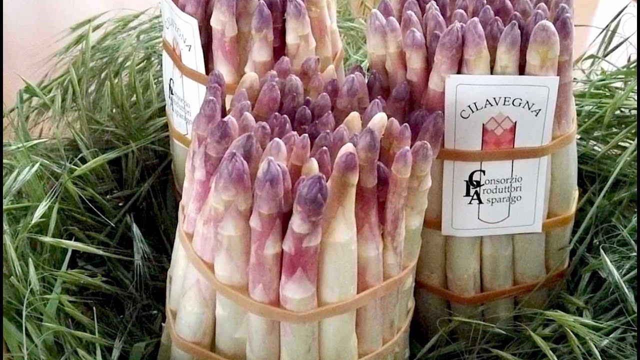 Show Cooking dell'Asparago