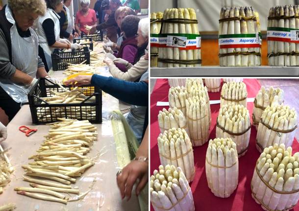 Fiera dell'Asparago di Cantello