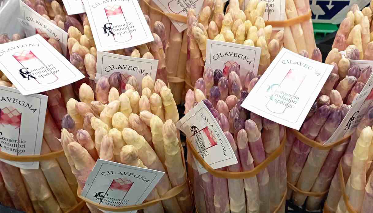 Sagra Asparago Cilavegna