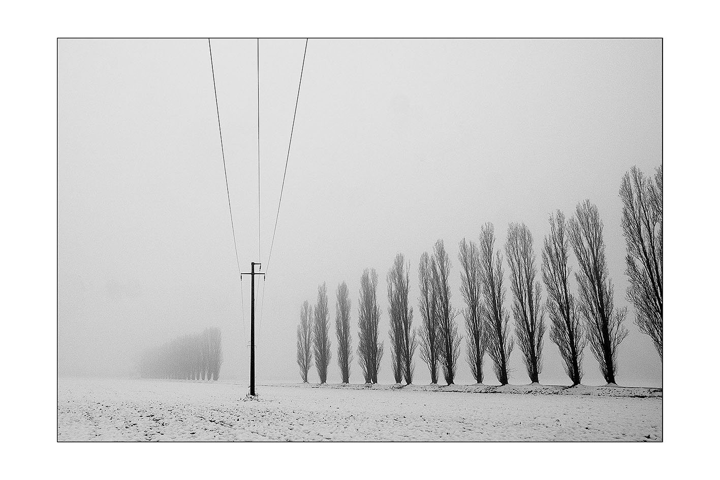 Incontro con l'Autore a Mortara