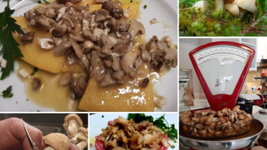 Festa di Primavera... col prugnolo