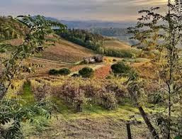 GRIGLIATONA DI PASQUETTA